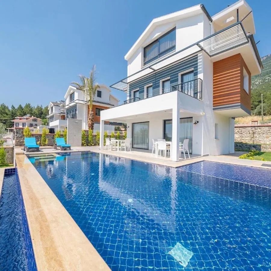 Toharya Villa Fethiye 0*,  Türkei